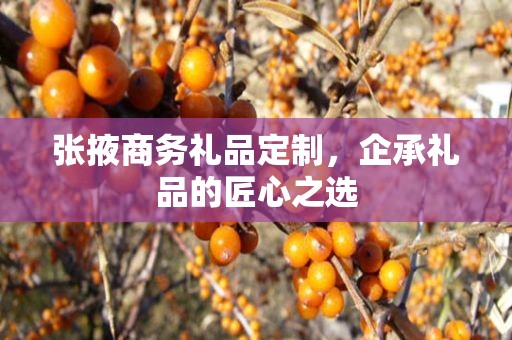 张掖商务礼品定制，企承礼品的匠心之选
