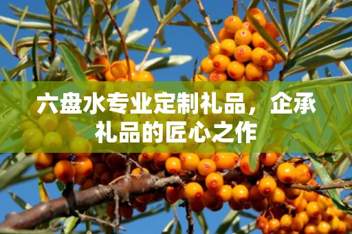 六盘水专业定制礼品，企承礼品的匠心之作
